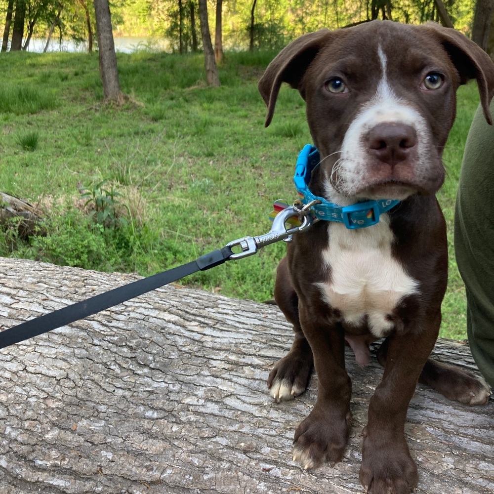 Meet your Posher, Halie